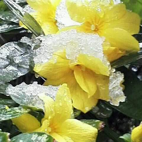 李雨倩的头像