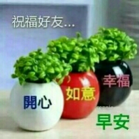 妍妍的头像