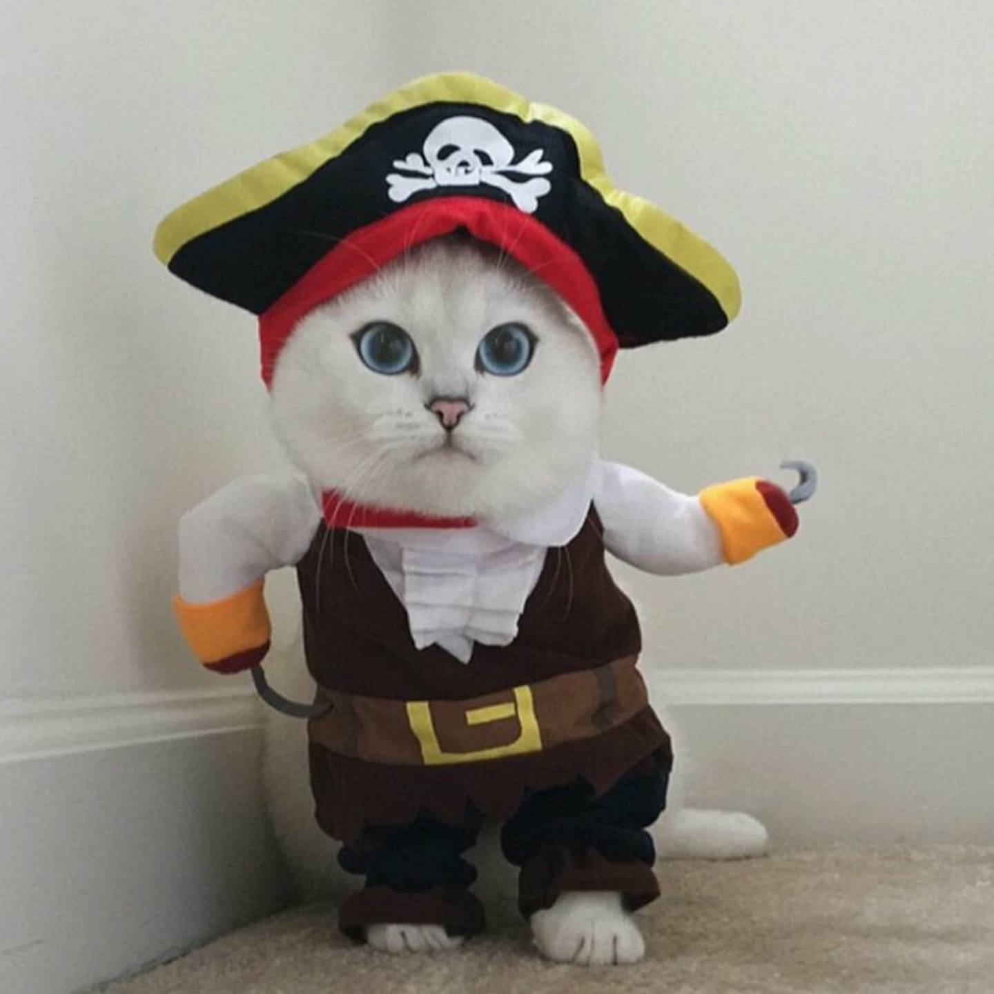 六八75239的自频道-优酷视频