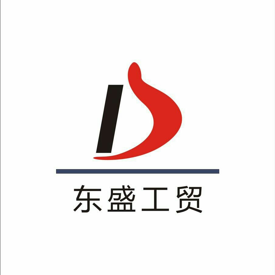 东盛装饰logo图片