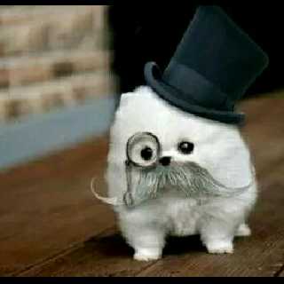 湖南大学初中化学董梦瑶学而思深圳分校