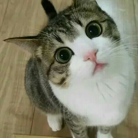 点点的头像