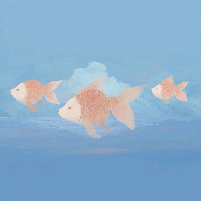 听雨成眠的头像