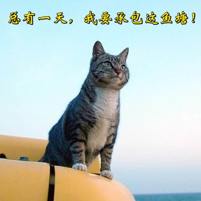 0枚勋章关注个人简介:0关注14粉丝64获赞我是有底线哒