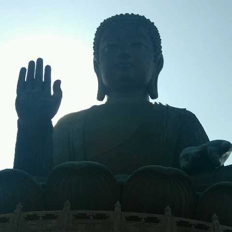南的头像