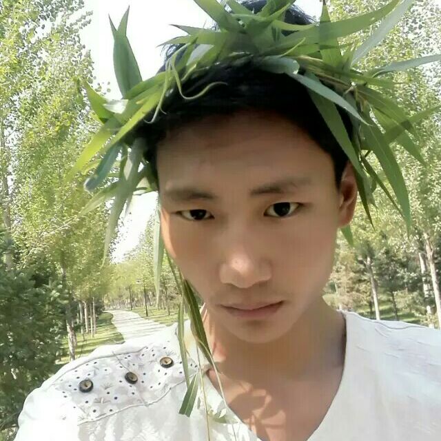 多拉的头像