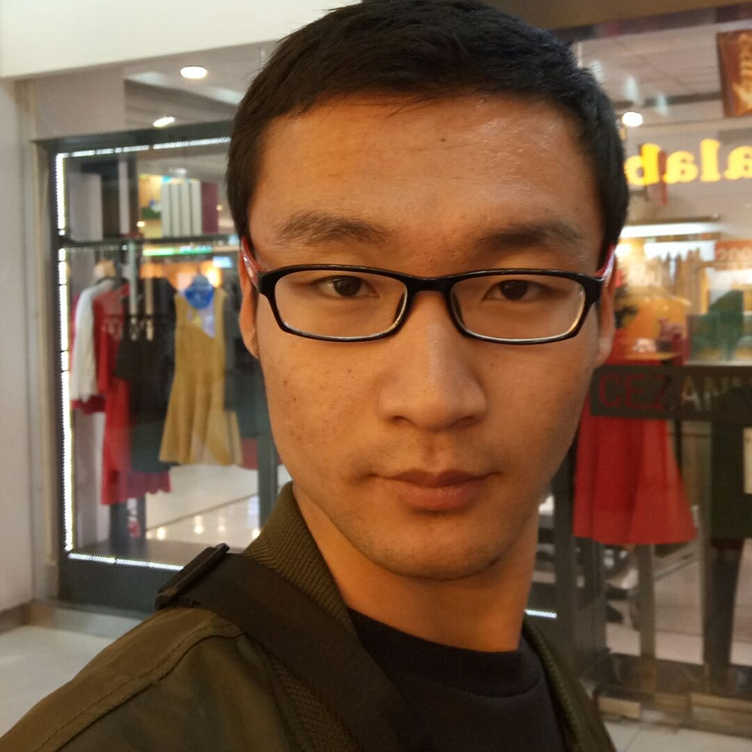 飞的头像