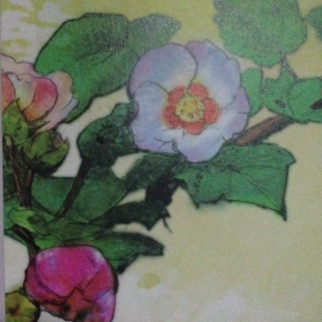 王冲的头像