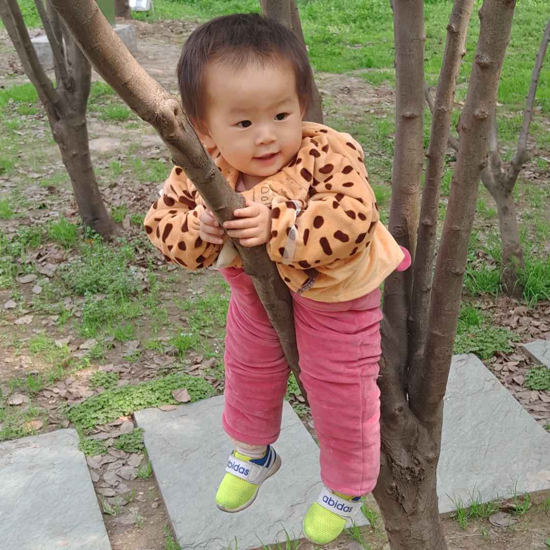 张伟强1478359647933928的主页_土豆视频