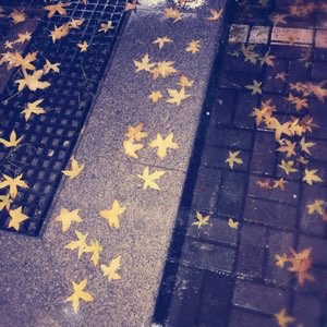 等待二月三十-WordPress主题模板-zibll子比主题官方演示