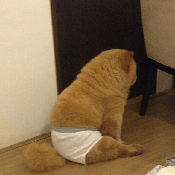 于宝贝的头像