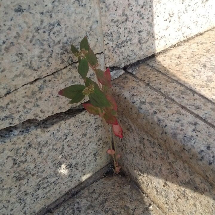 白大挂的头像