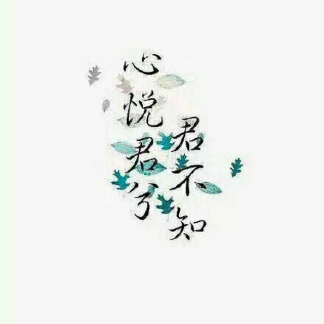 杜春雨的头像