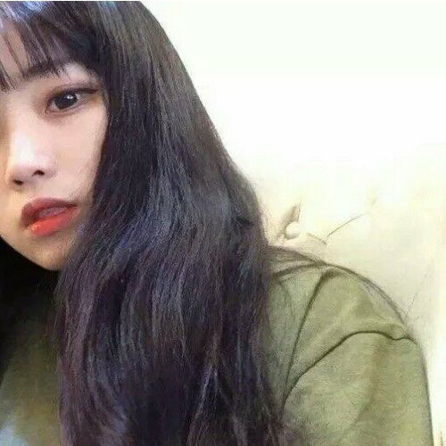 书友906596657的头像