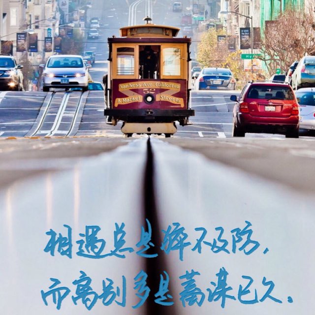 Teamo的头像