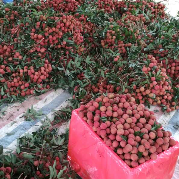 盛飞36805的主页_土豆视频