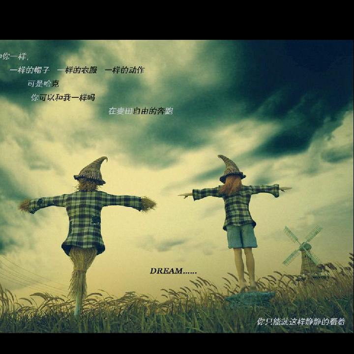 逆流的头像