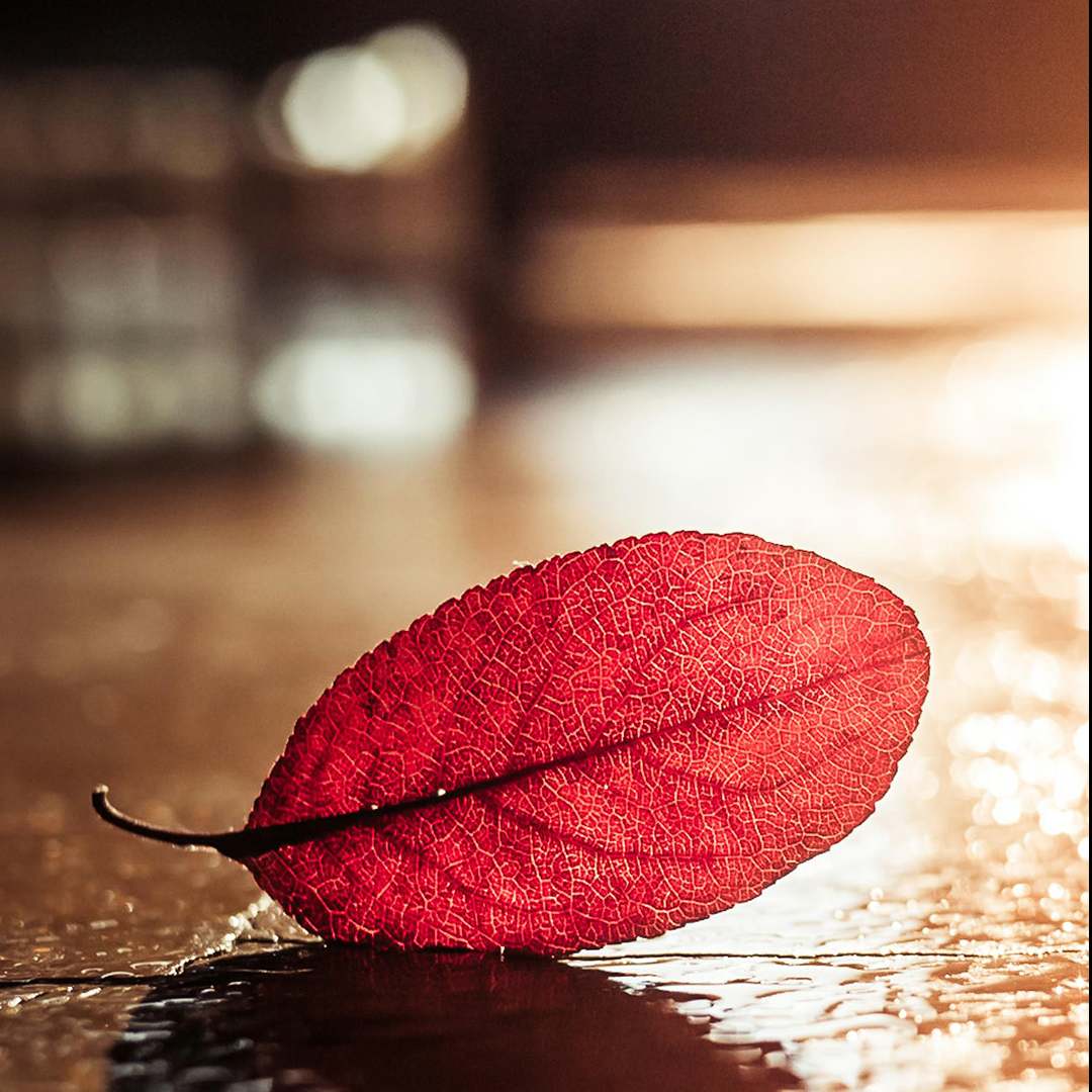 袁洋314628700的自频道-优酷视频