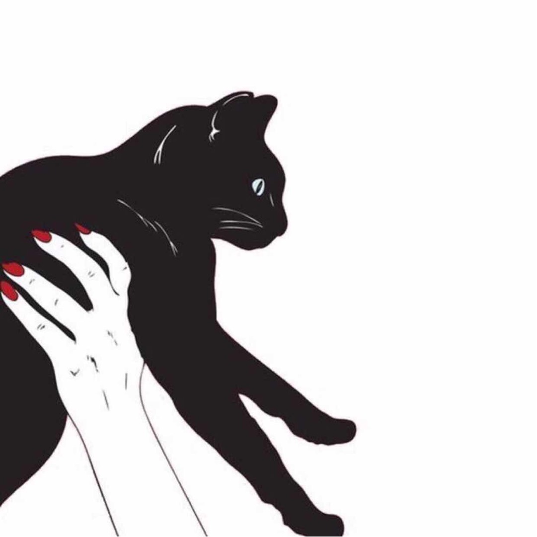 宝琴97072的自频道-优酷视频