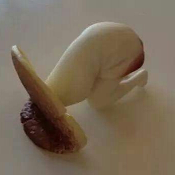 欲的头像
