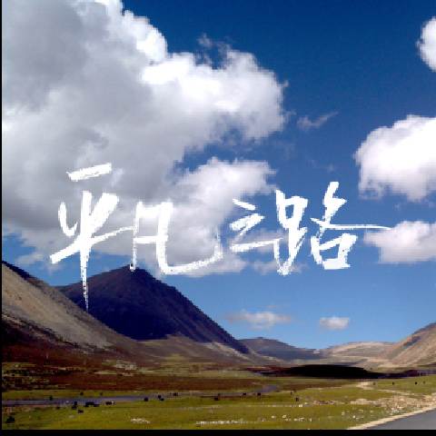 iphone se 卡贴安装SIM卡无效,手机无法激活