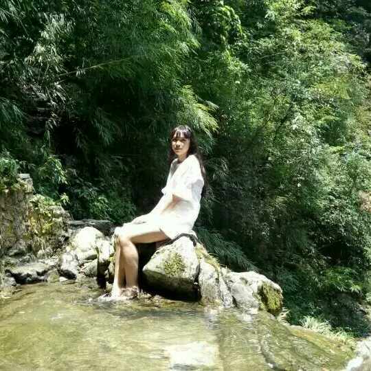 明媚的头像