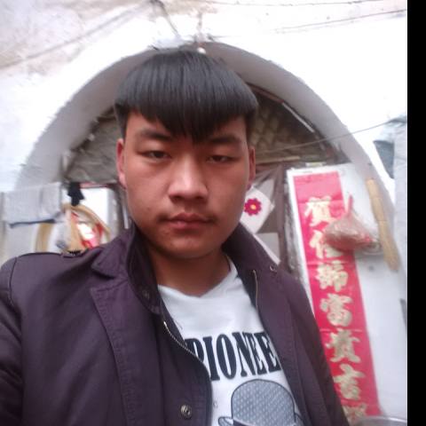 宋强的头像