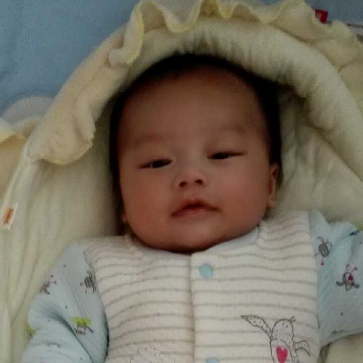 蒹葭倚玉的头像