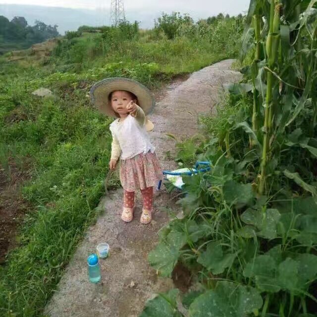 隔壁有人哭的头像