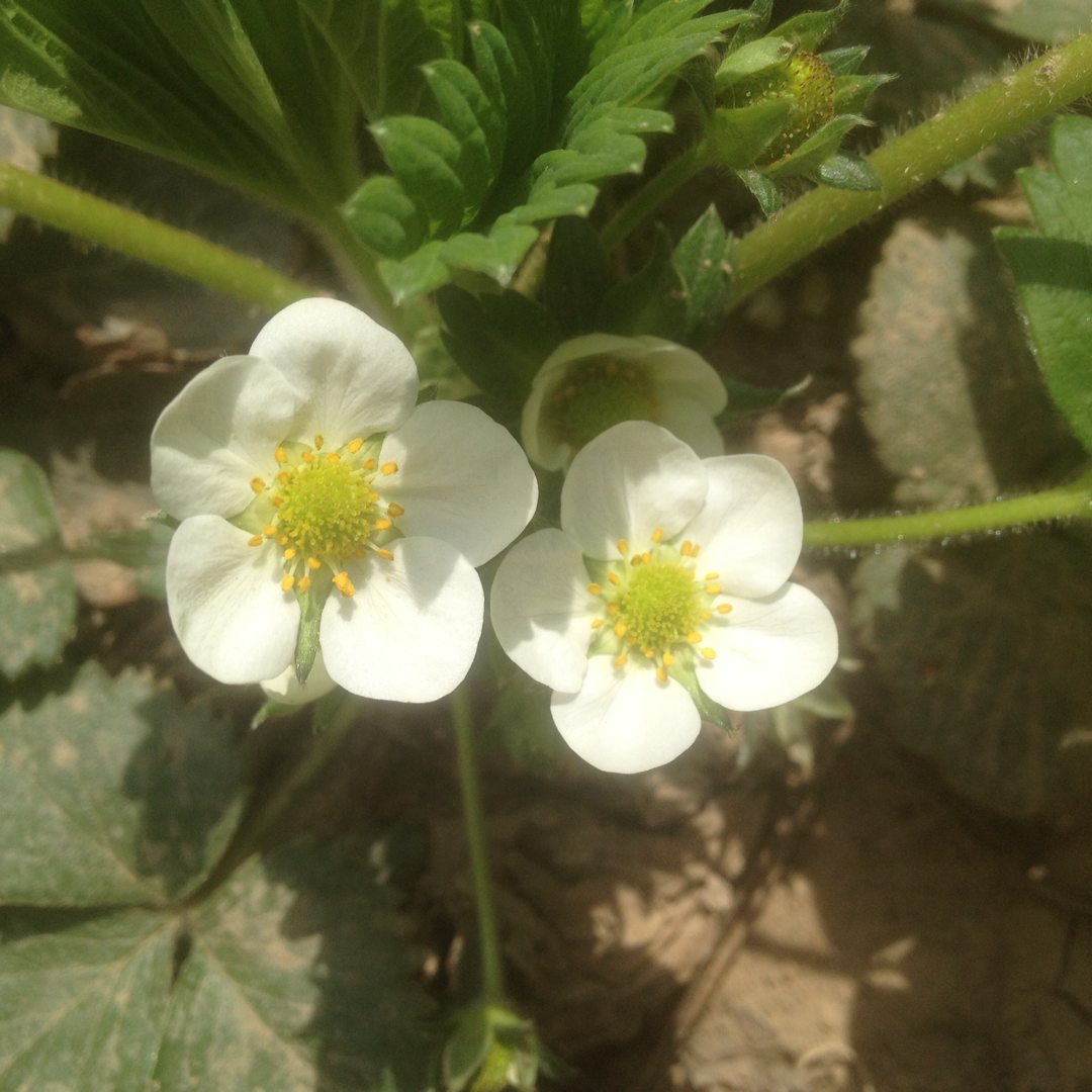 铃儿叮当的头像