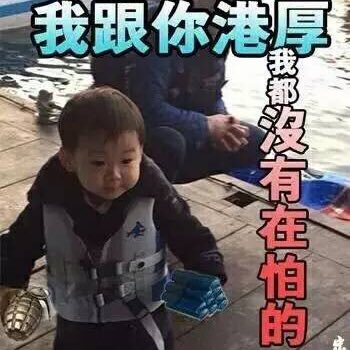 长腿小柯基的头像
