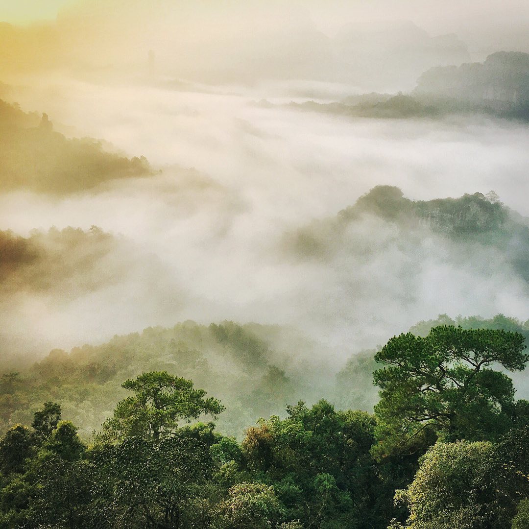 鲥鱼多刺-Sainsbury的主页_土豆视频