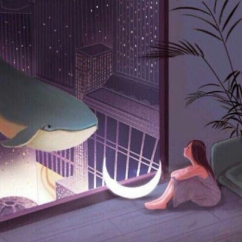 停雨的头像