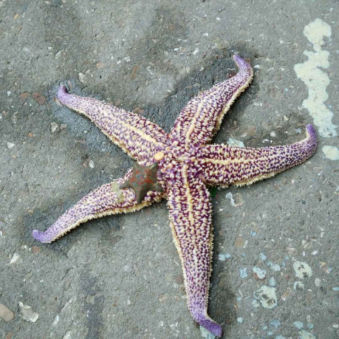 迷失岛的头像