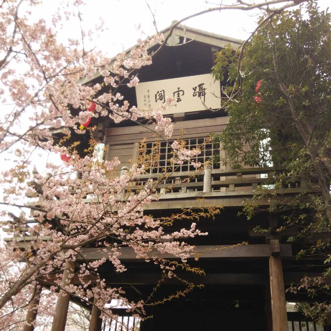 书友942791095的头像