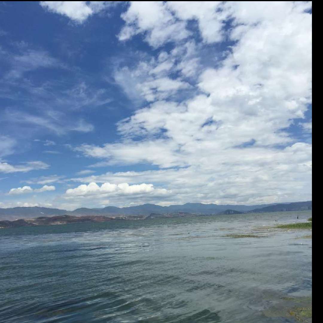 2924文家观察的自频道