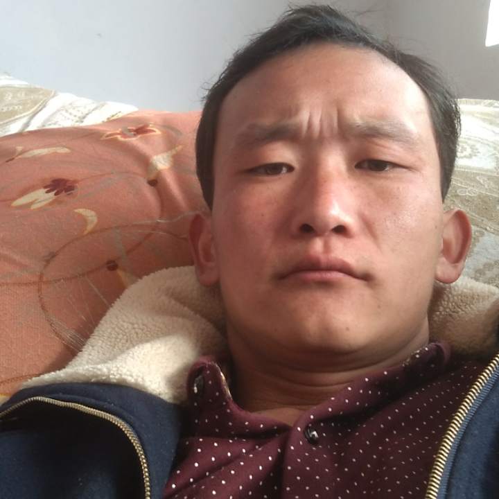 泉的头像