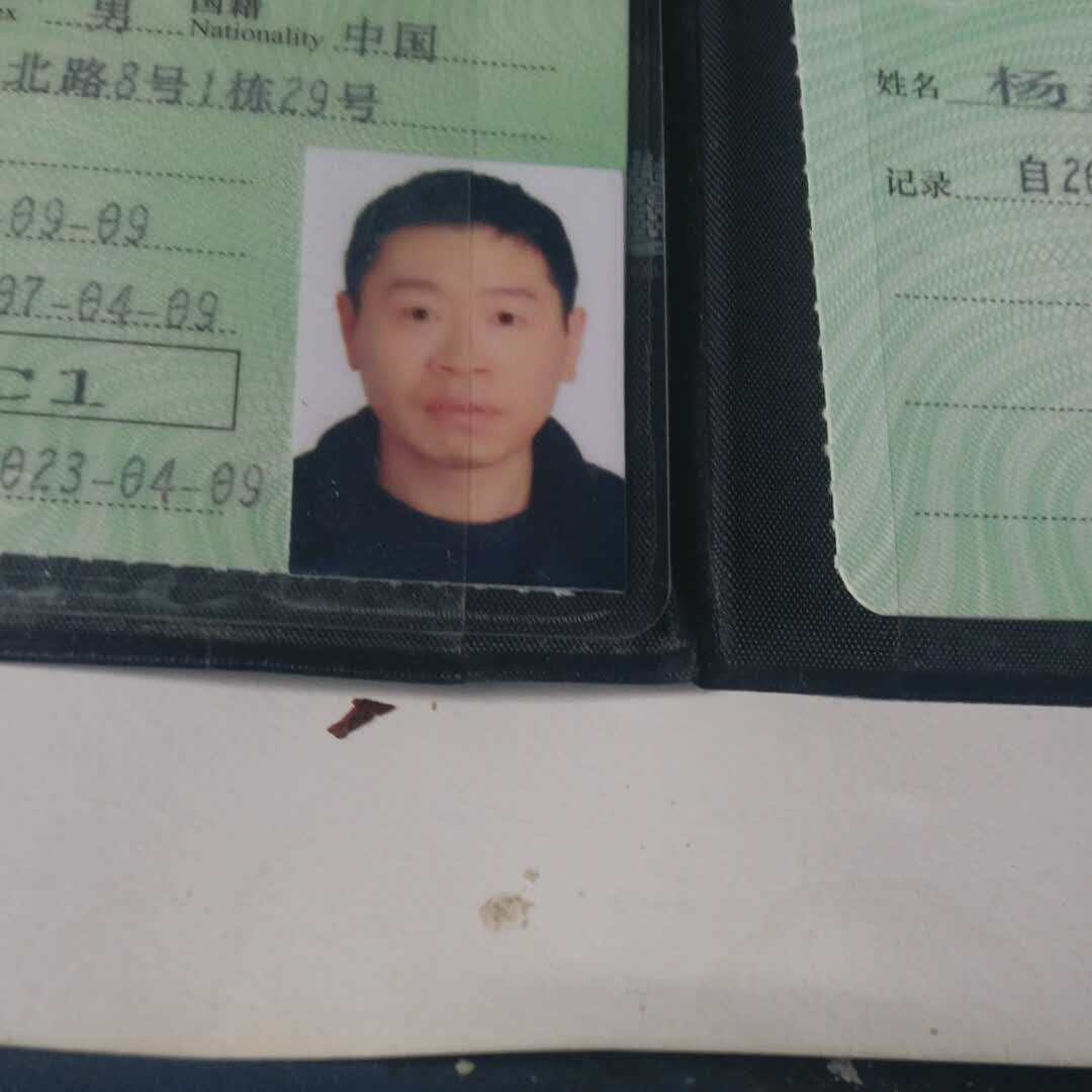 杨磊的头像