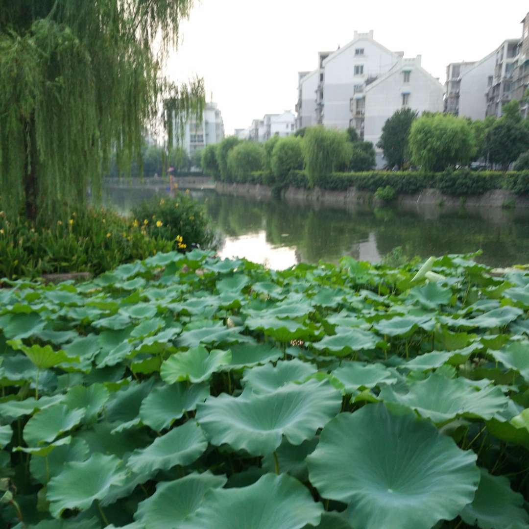 书友1010664197的头像