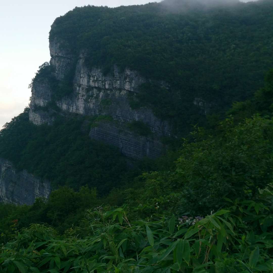 李伟的头像