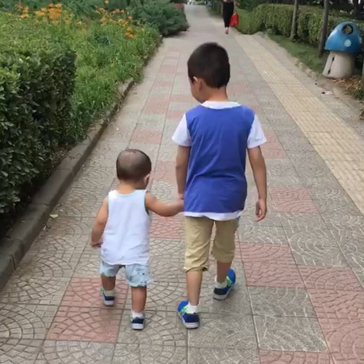 书友982886747的头像