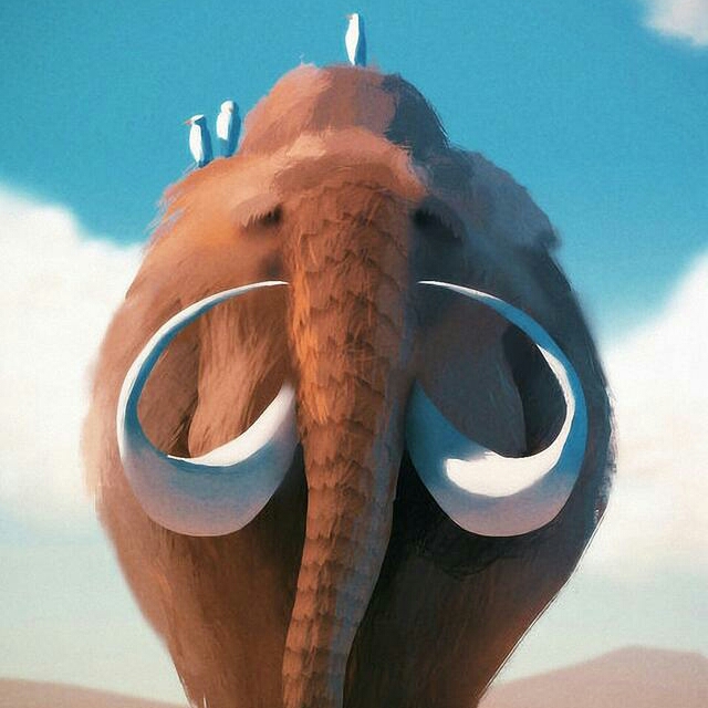 张晓莉的头像