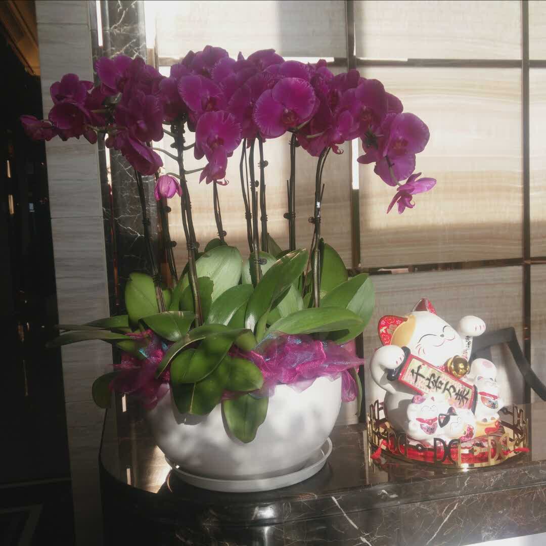 张师傅