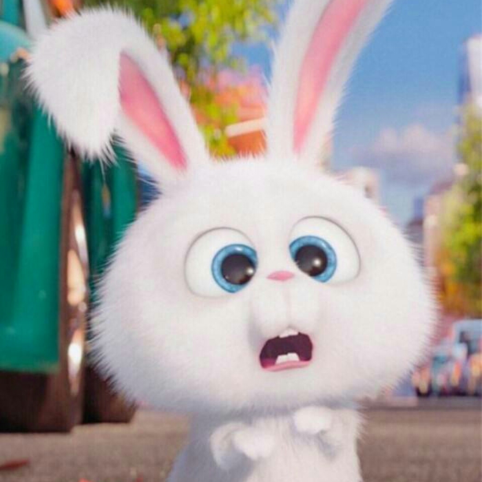 陈莎11153的主页_土豆视频