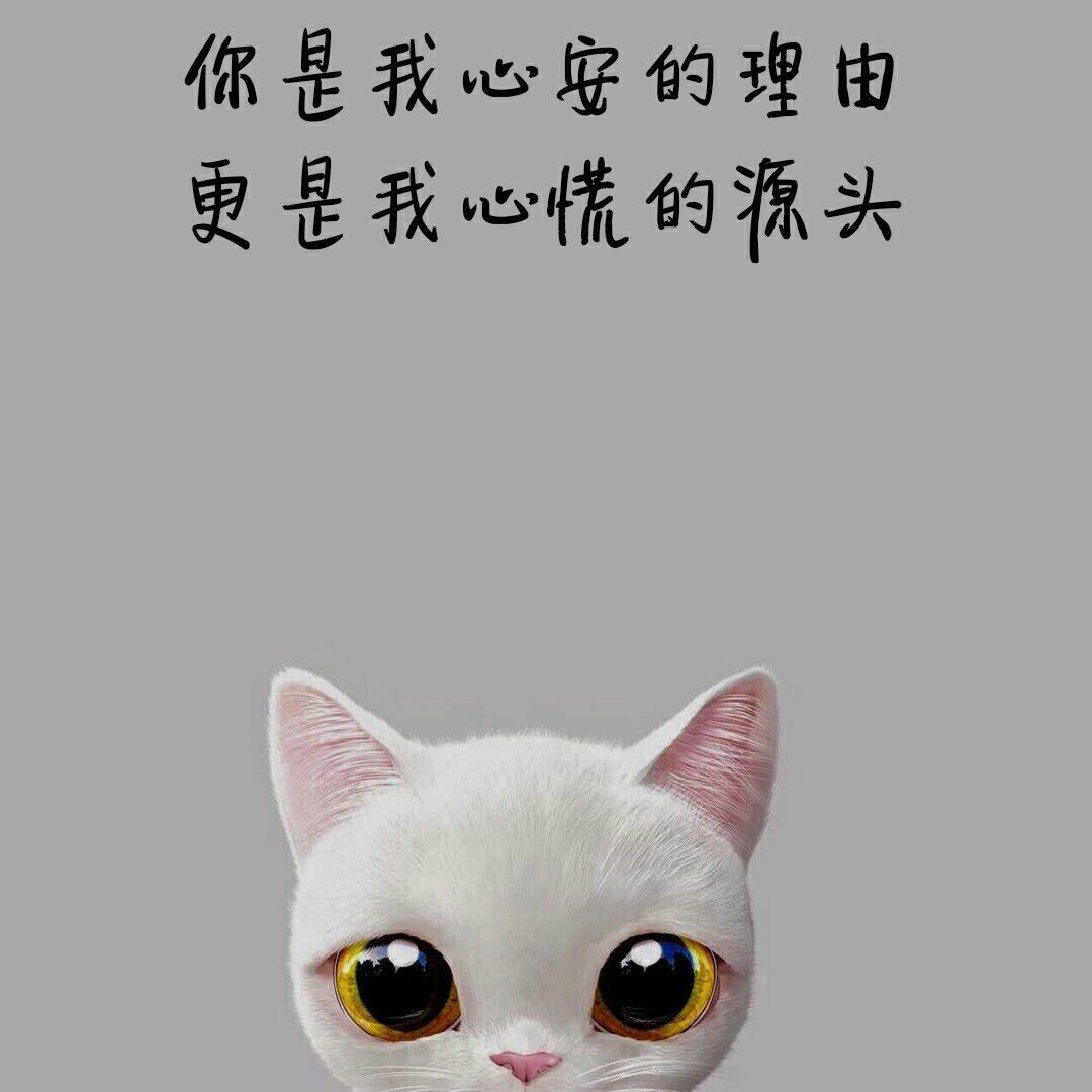 你猜80542的自频道-优酷视频