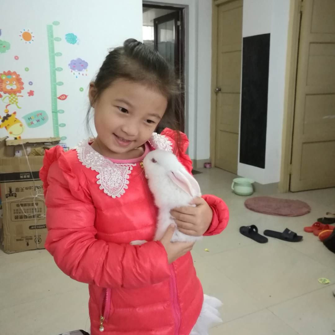 墨无双的头像