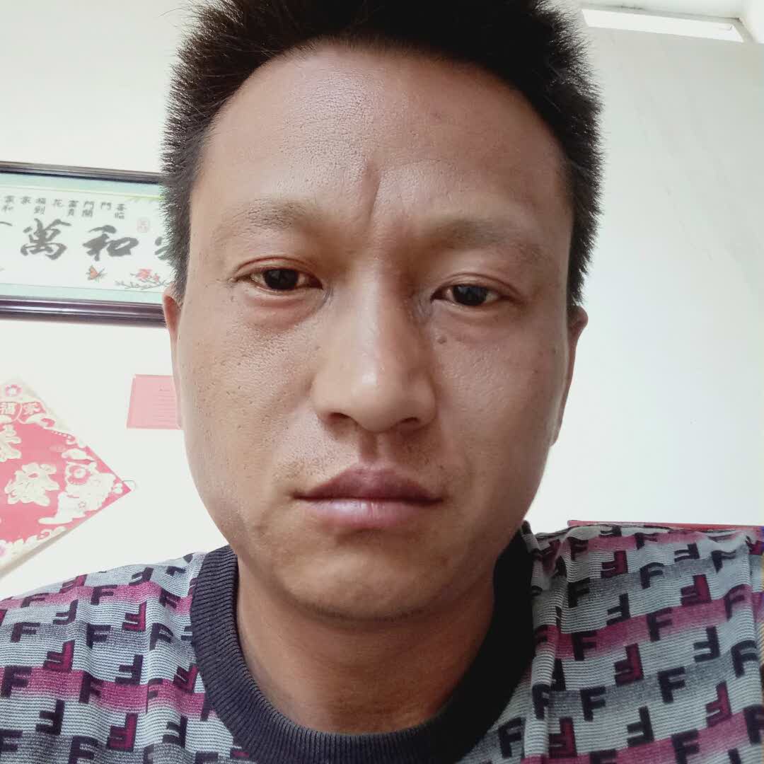 社哥的头像
