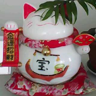 噜噜哪哪的头像
