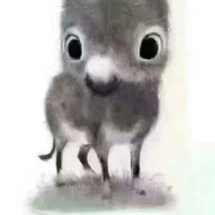 丹丹的头像