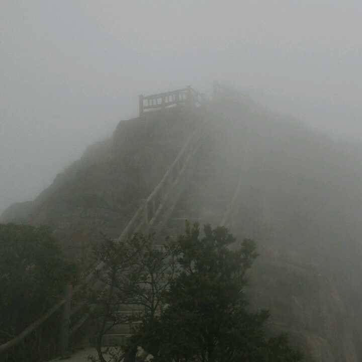 王语嫣的头像